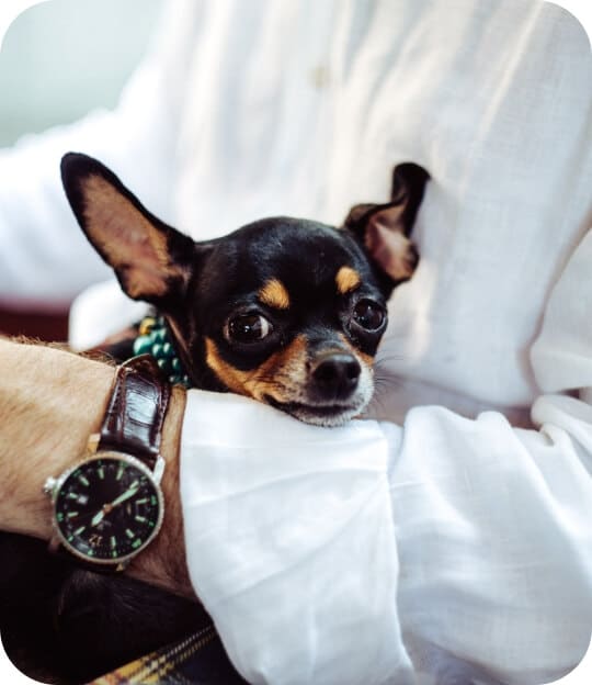 88f8f272 image 14 1.jpg