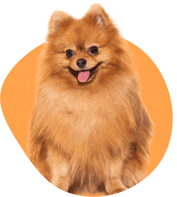 f62c8234 header image 2 1.png